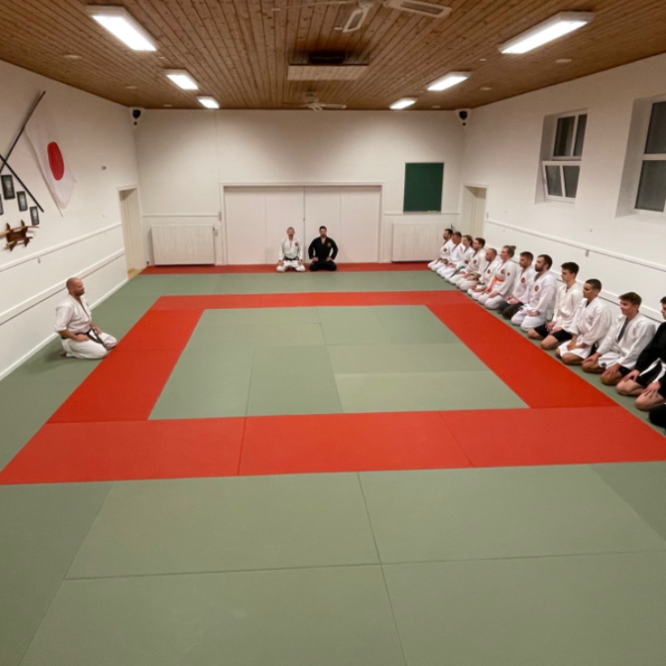 Jiu-Jitsu træning for voksne tryout image
