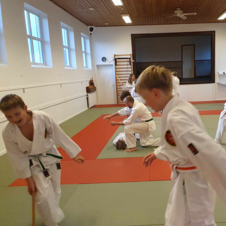 Jiu Jitsu træning for børn (9-15 år) tryout image