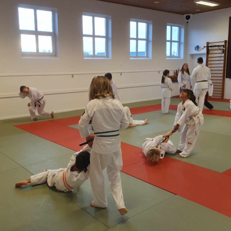 Jiu Jitsu træning for børn (9-15 år) tryout image