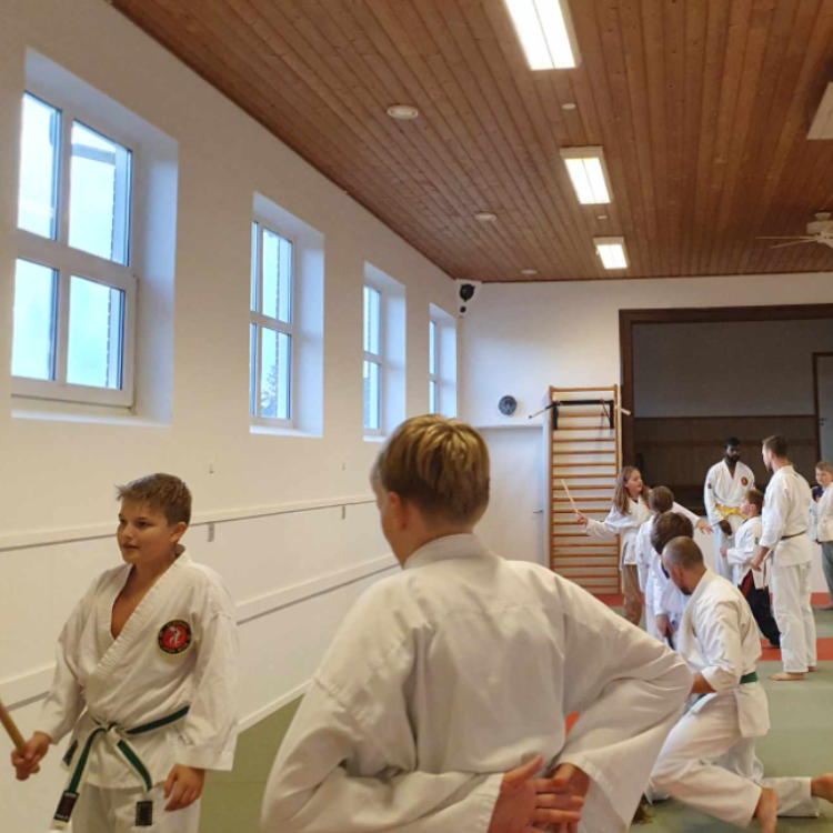 Jiu Jitsu træning for børn (9-15 år) tryout image
