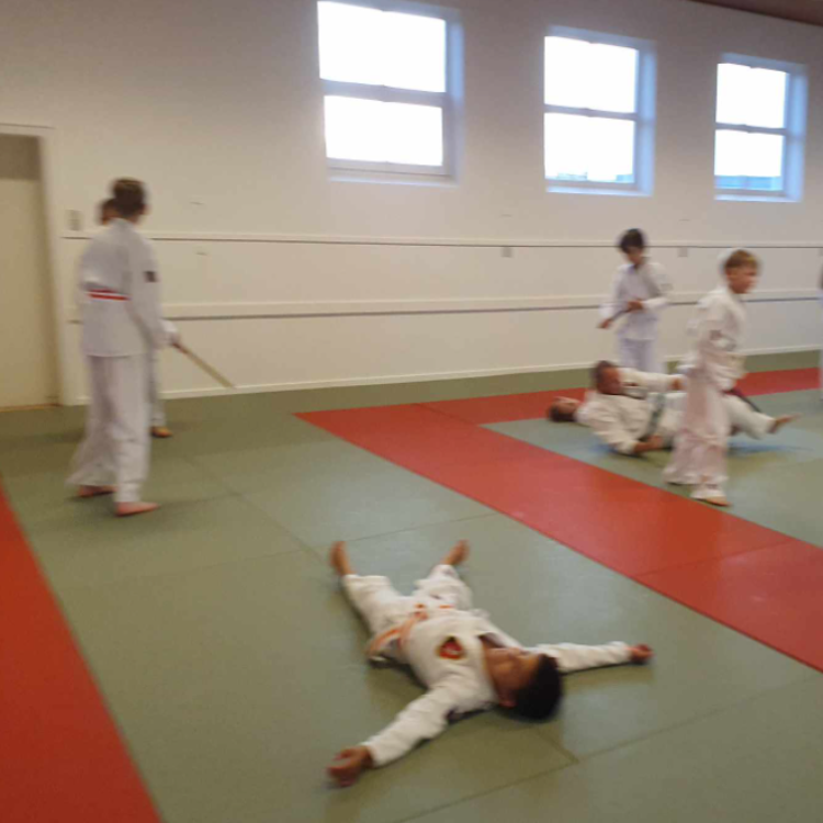 Jiu Jitsu træning for børn (9-15 år) tryout image