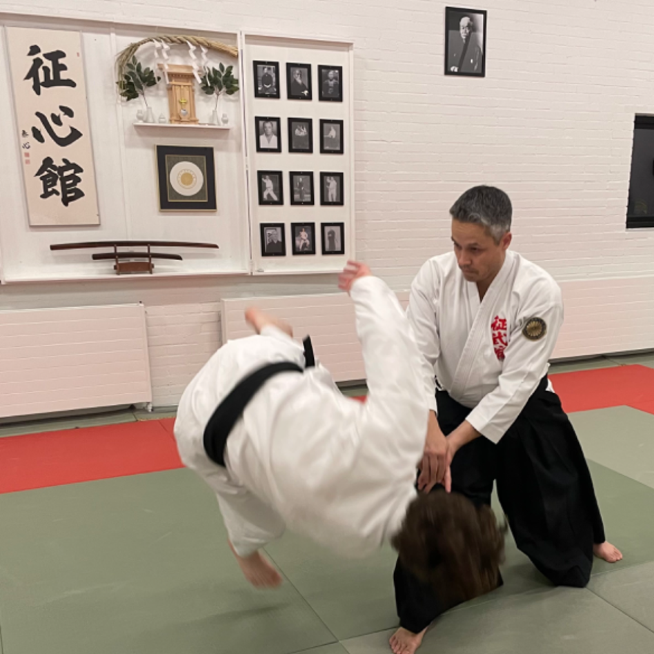 Yoshinkan aikido tryout image