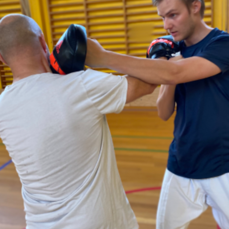 Sat Jung Wing Chun - selvforsvar tryout image