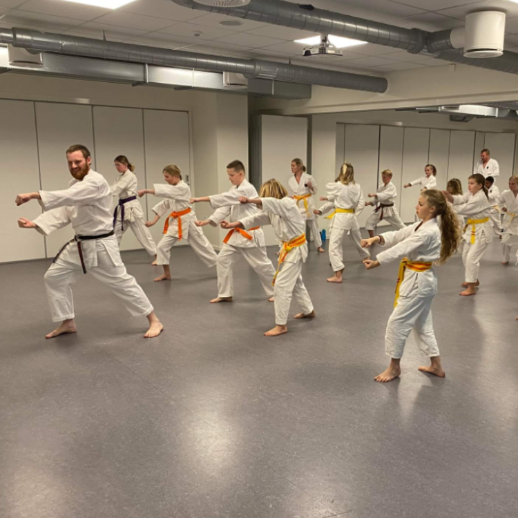Mandagstræning - Børn tryout image