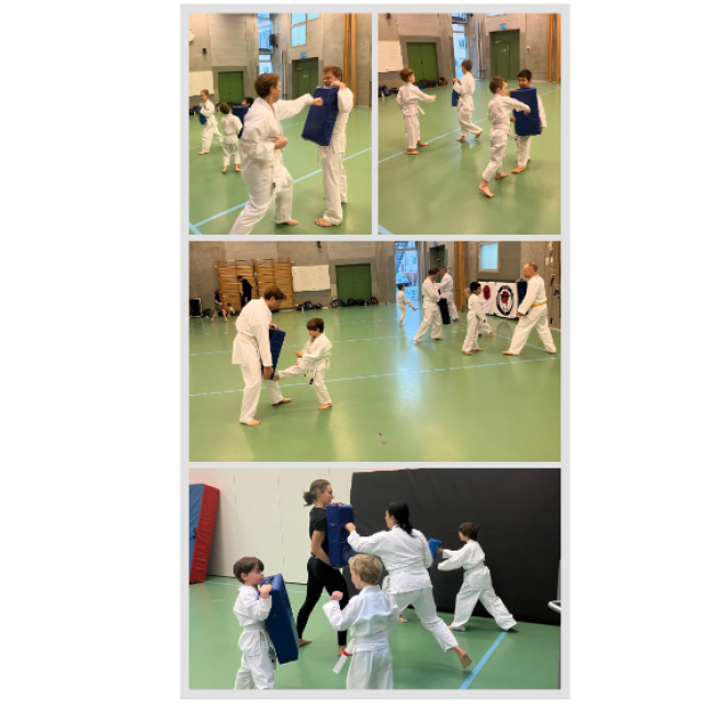 Ninja-Kids + Ninja-Kids med forældre - Lørdage tryout image