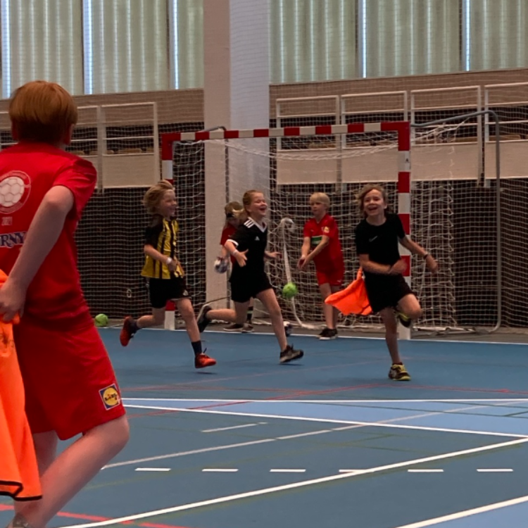 Sjov børnehåndbold (4-5 år)  (årgang 2021+2022)  tryout image