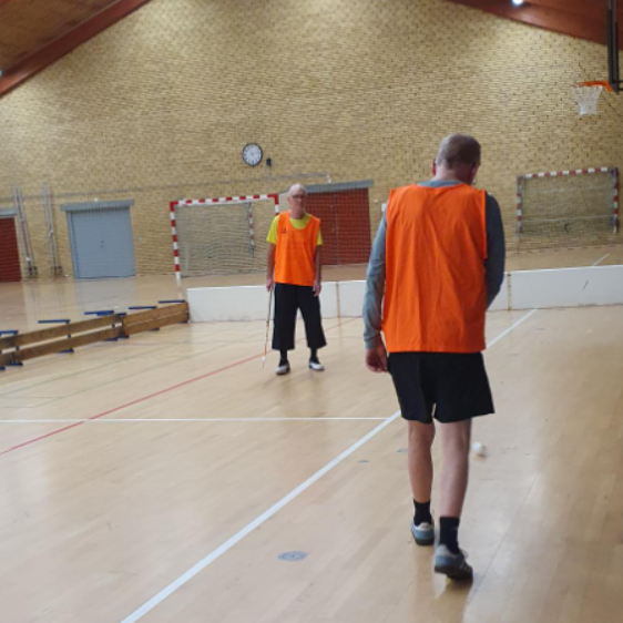 Ældrefloorball +60 år let øvede og øvede tryout image