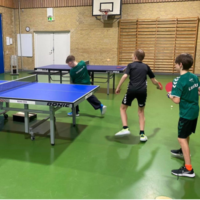 Bordtennis for børn og unge (6-15 år) tryout image