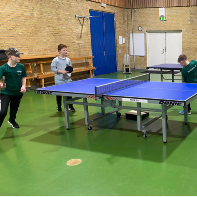 Bordtennis for børn og unge (6-15 år) tryout image