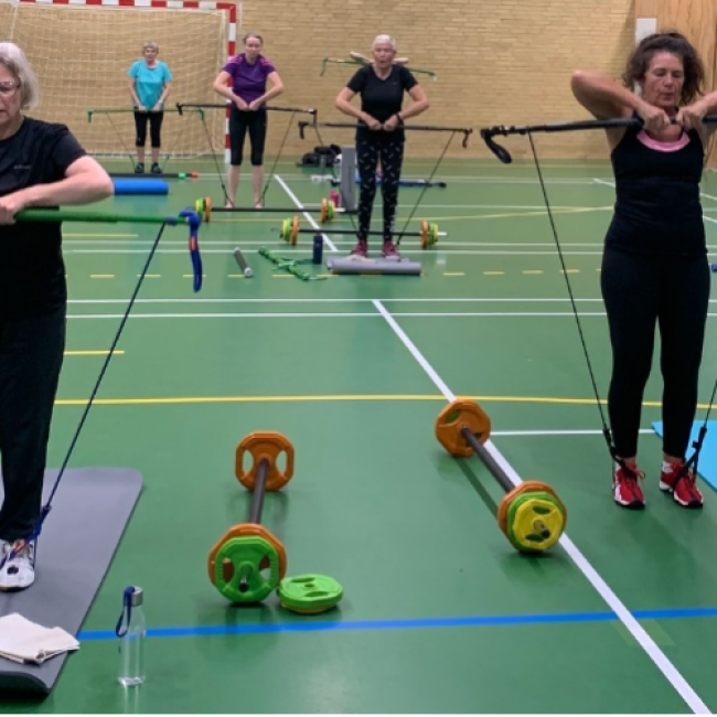 Gym Stick-----styrketræning tryout image