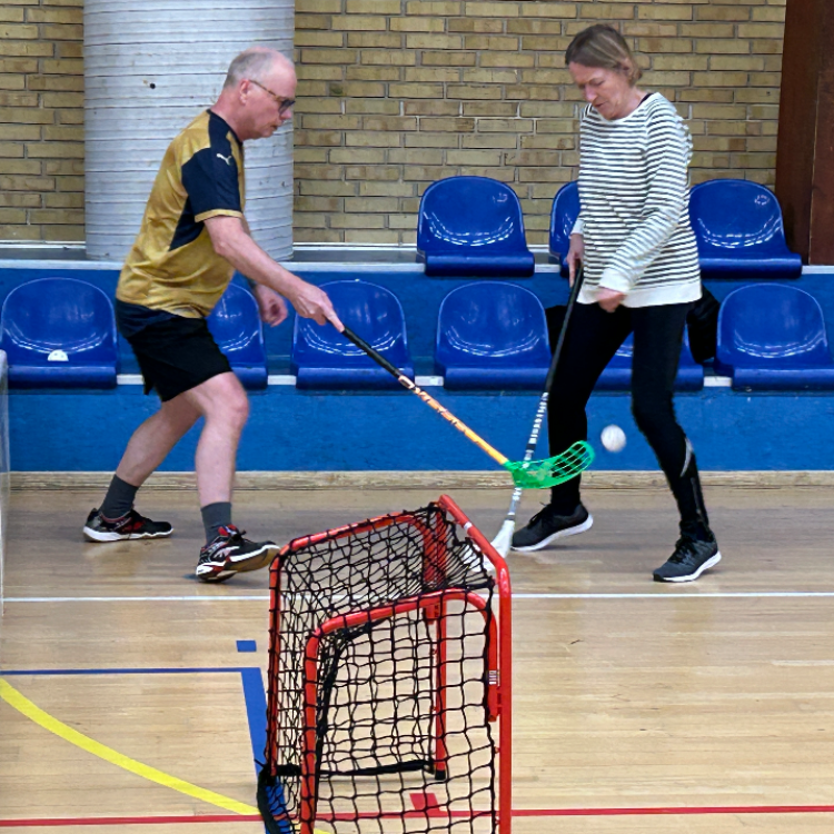 Ældrefloorball +60 år let øvede og øvede tryout image