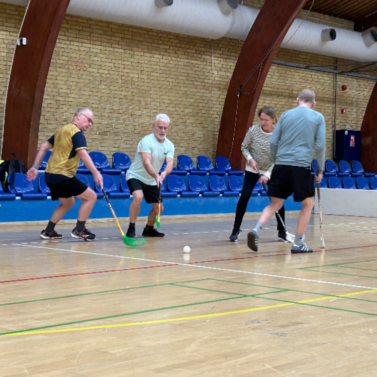 Ældrefloorball +60 år let øvede og øvede tryout image