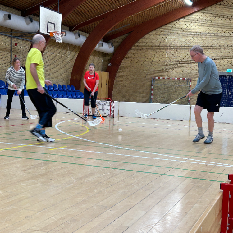 Ældrefloorball +60 år let øvede og øvede tryout image