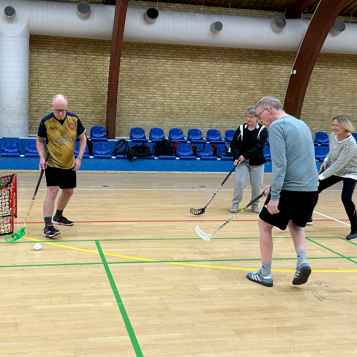 Ældrefloorball +60 år (Frb., alle niveauer) tryout image