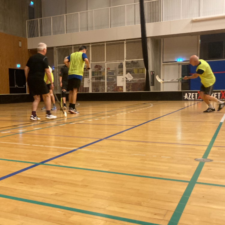 Ældrefloorball +60 år (Vanløse) tryout image