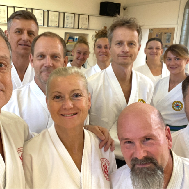 Taekwon-Do for voksne tryout image