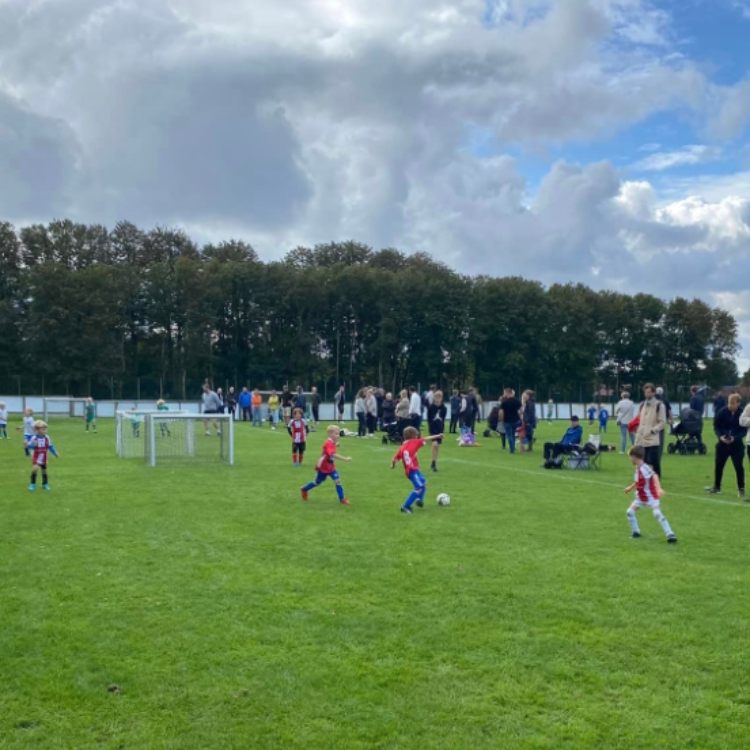Træning drenge årgang 2019-2017 tryout image
