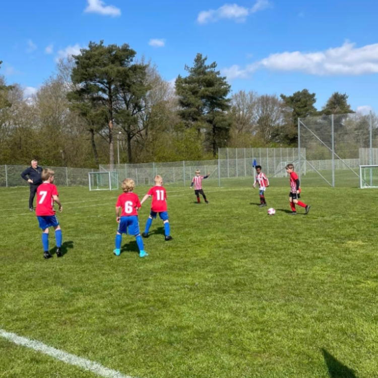 Træning drenge årgang 2015-2016 tryout image