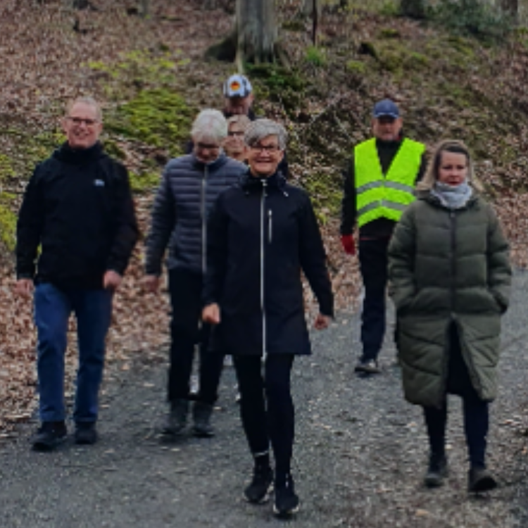 Walk i Vejle tryout image