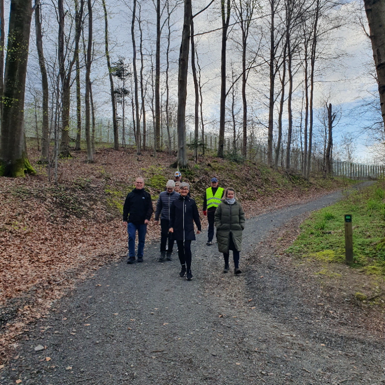 Walk i Vejle tryout image