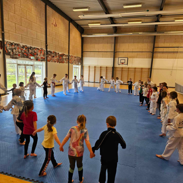 Ninjakids 5-7 år tryout image
