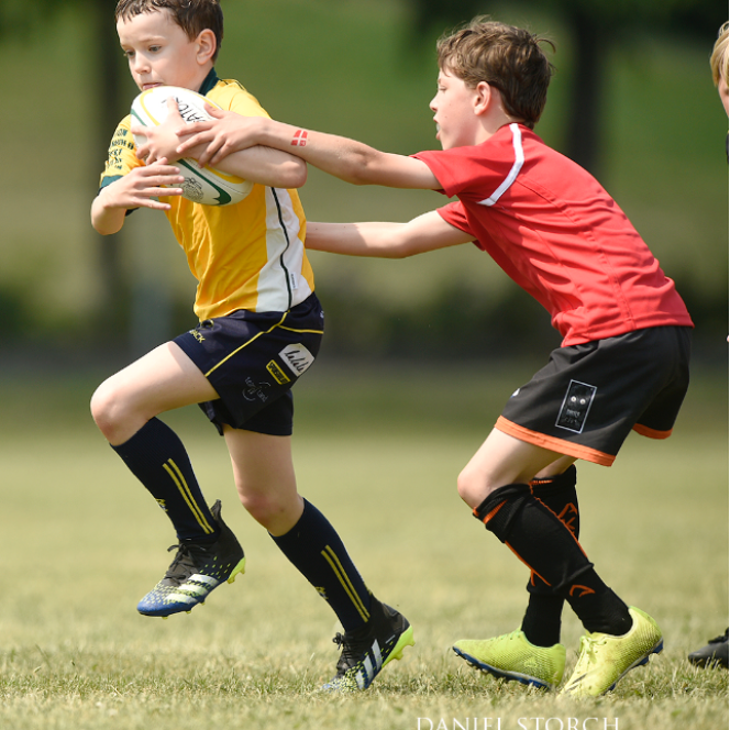 Rugby for alle (U12 og U14) tryout image