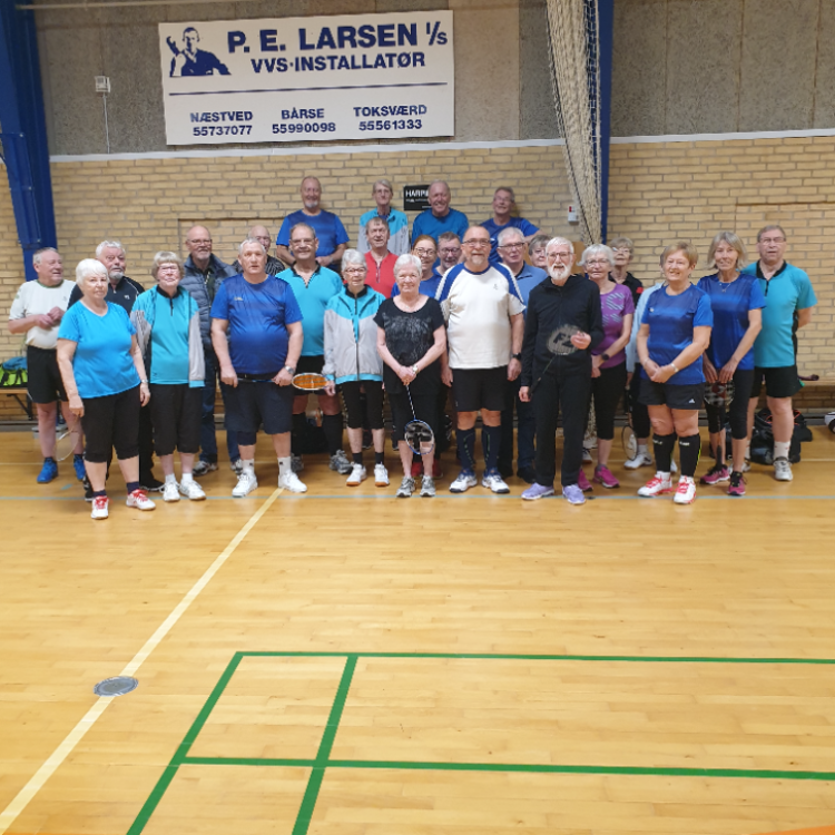 Ældre badminton (60+ år) tryout image