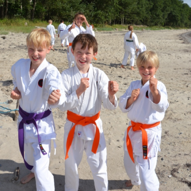 Børn, begyndere (6-12 år) tryout image