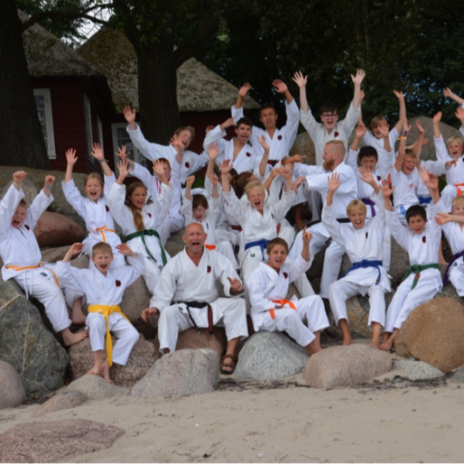 Børn, begyndere (6-12 år) tryout image