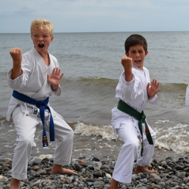 Børn, begyndere (6-12 år) tryout image