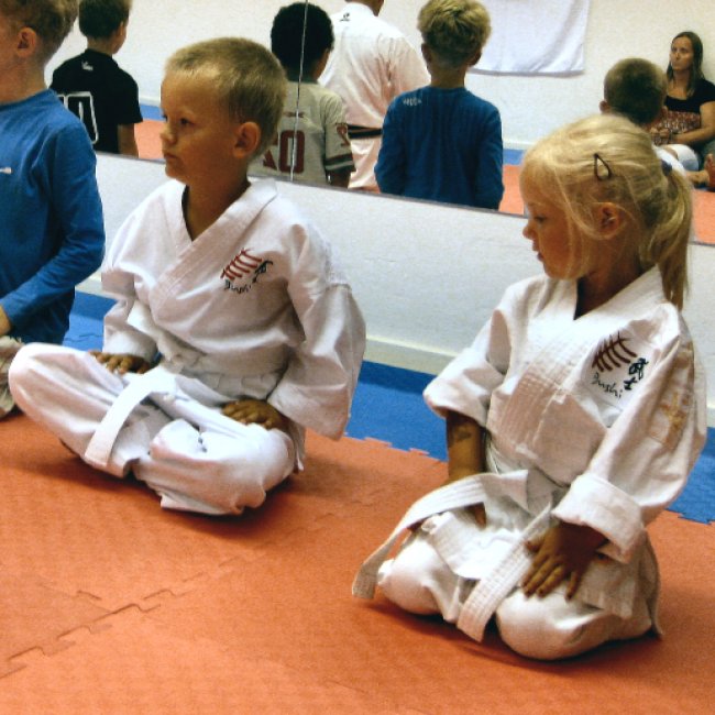 Shotokids / Minikarate tryout image