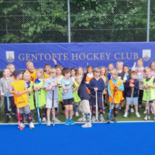 Hockey træning for 4-6 årige tryout image