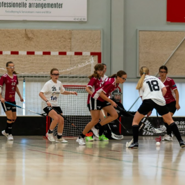 U15-floorball for piger tryout image