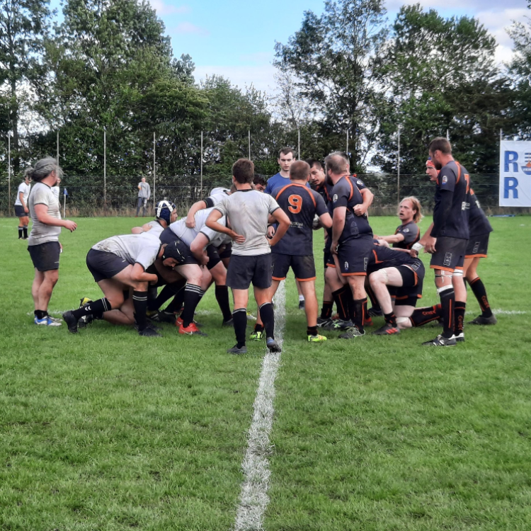 Rugby Herre senior (mandag) tryout image