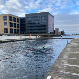 Triathlon Open Water Swim- Fisketorvet (+15 yo)