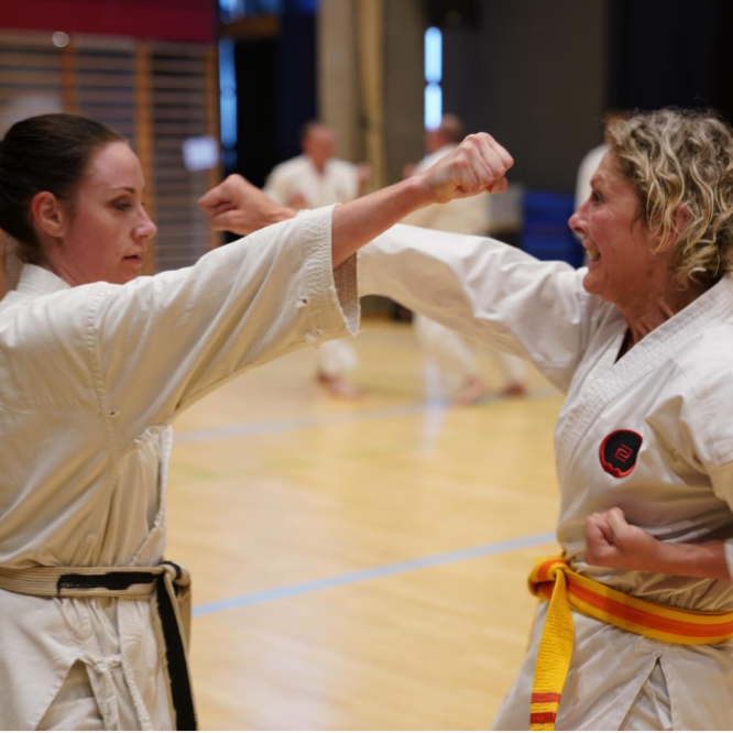 Karate for nye og øvede voksne fra ca. 16 - 99 år tryout image