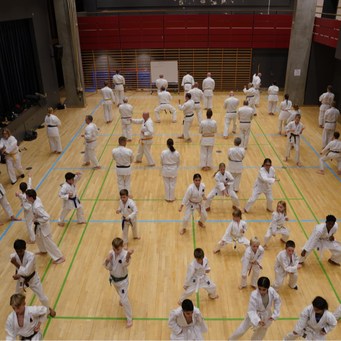 Karate for nye og øvede voksne fra ca. 16 - 99 år tryout image