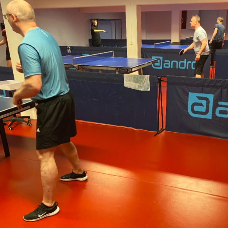 Bordtennis for damer og herrer tryout image