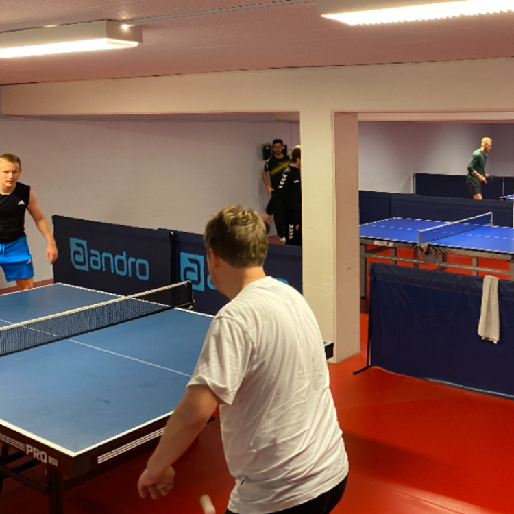 Bordtennis for damer og herrer tryout image