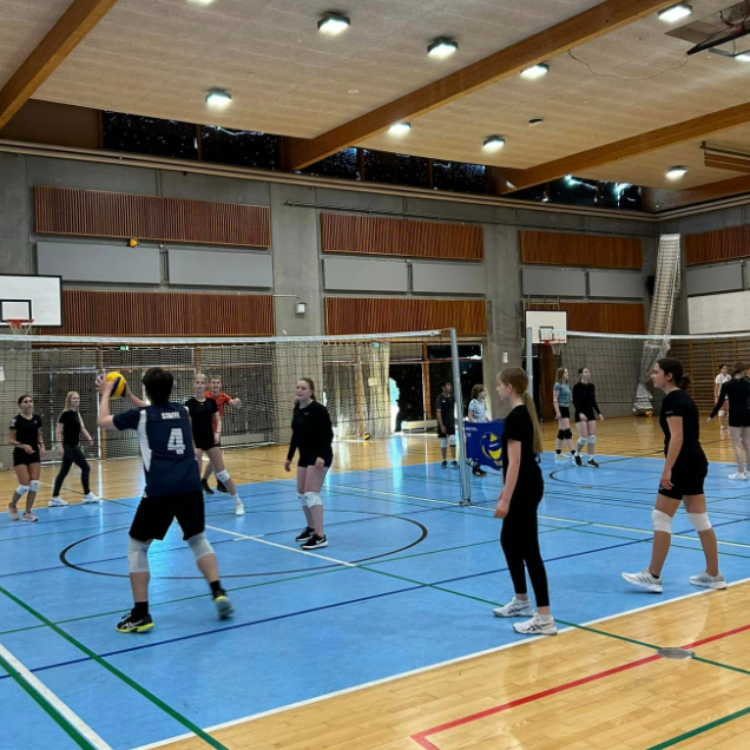 Teenvolley tryout image