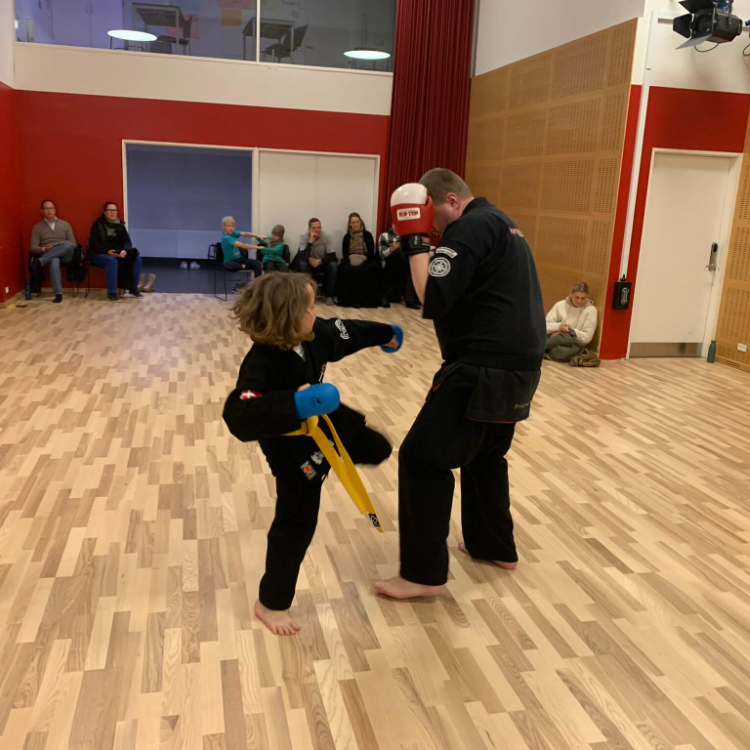  Introhold til Kenpo Karate  tryout image