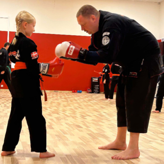  Introhold til Kenpo Karate  tryout image