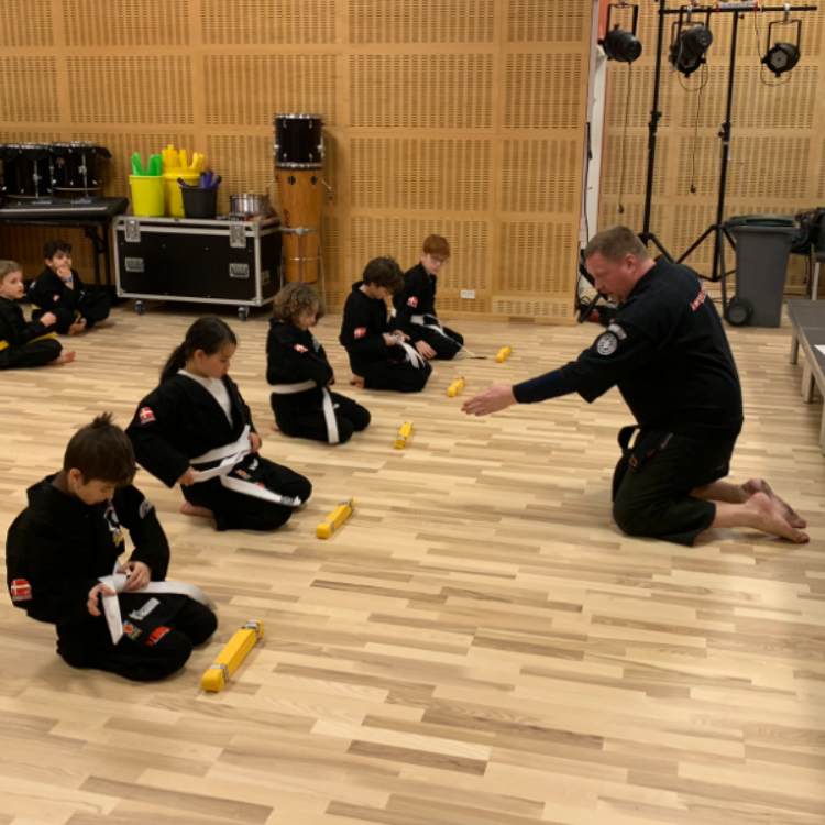  Introhold til Kenpo Karate  tryout image