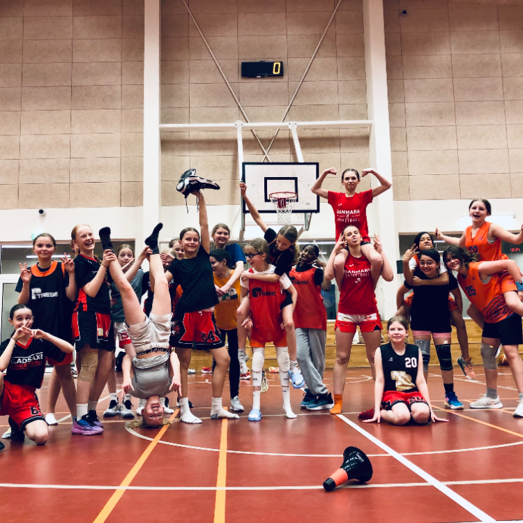 Basketball for PIGER født i 2011 & 2012 (U15) tryout image