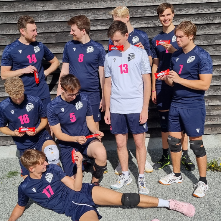 H1 træning - 1.division tryout image