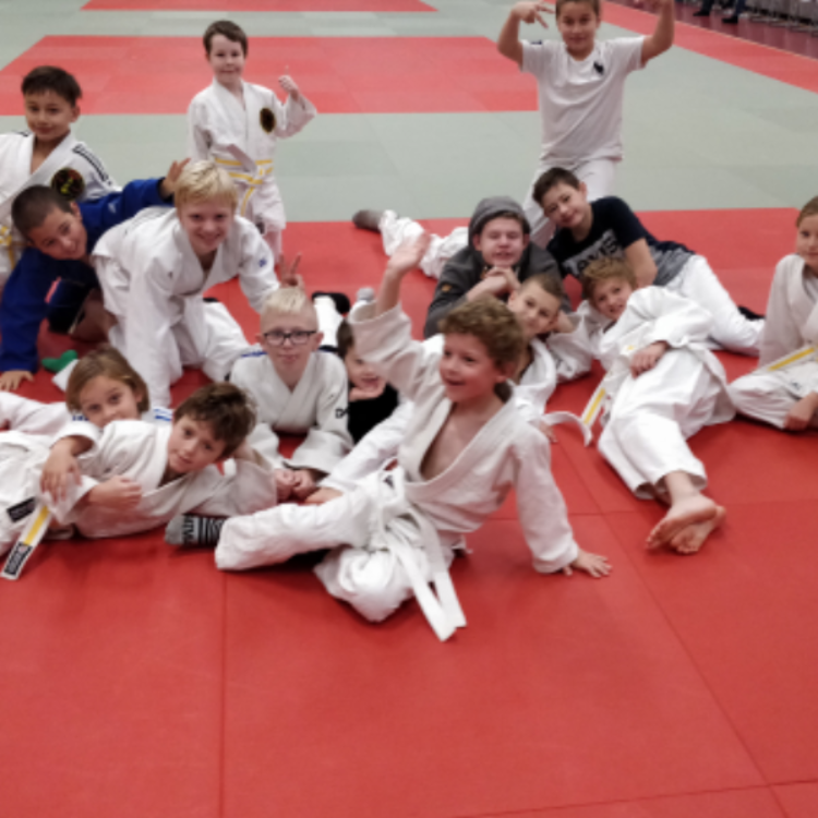 Begynder holdet u 12 tryout image