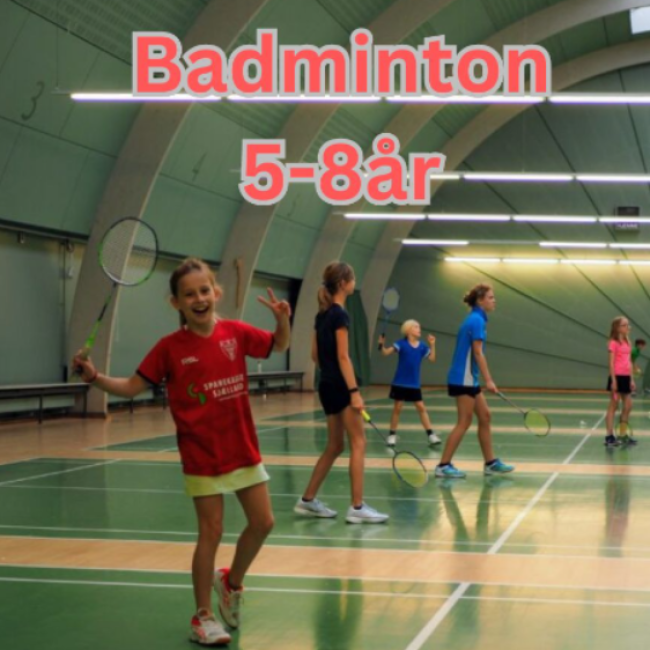 Badminton Begynder 5-8år tryout image