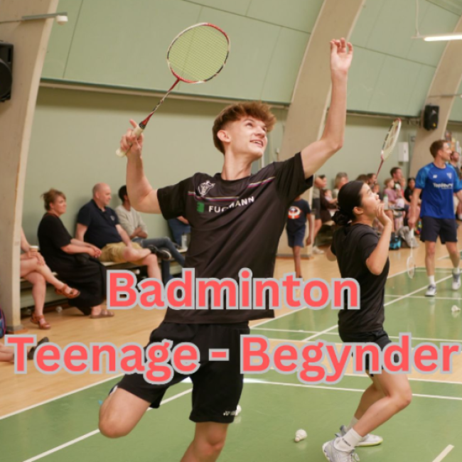 Badminton Teenage Begynder tryout image