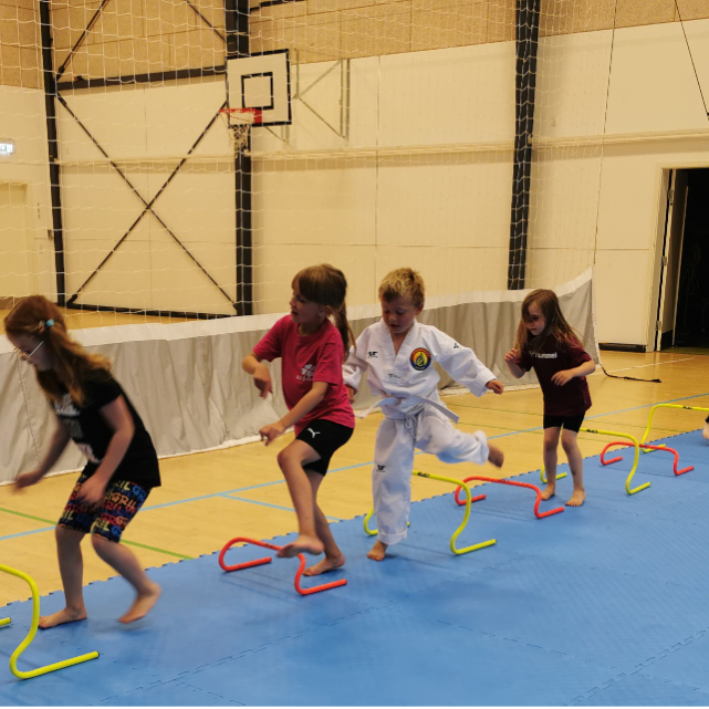Ninjakids 5-7 år tryout image