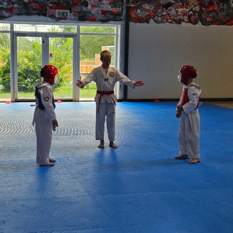 Ninjakids 8-9 år tryout image